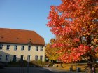 herbstimpressionen 03